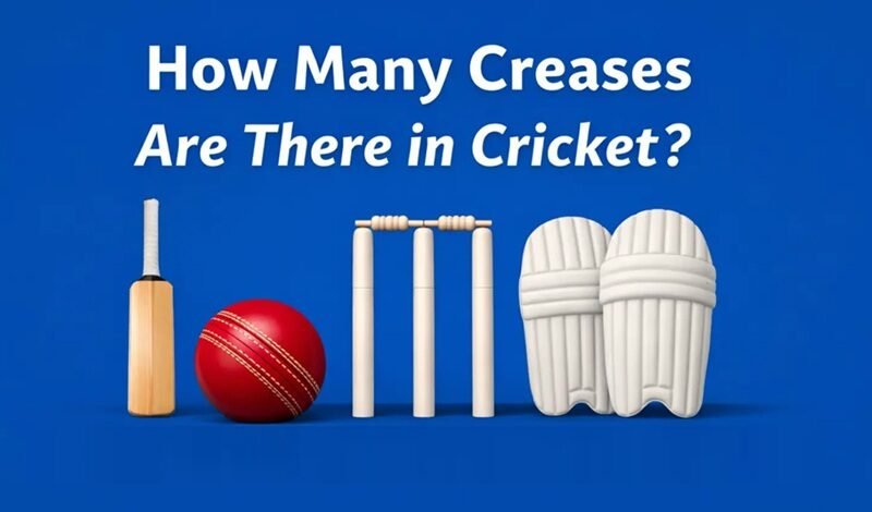 How Many Creases Are There in Cricket?